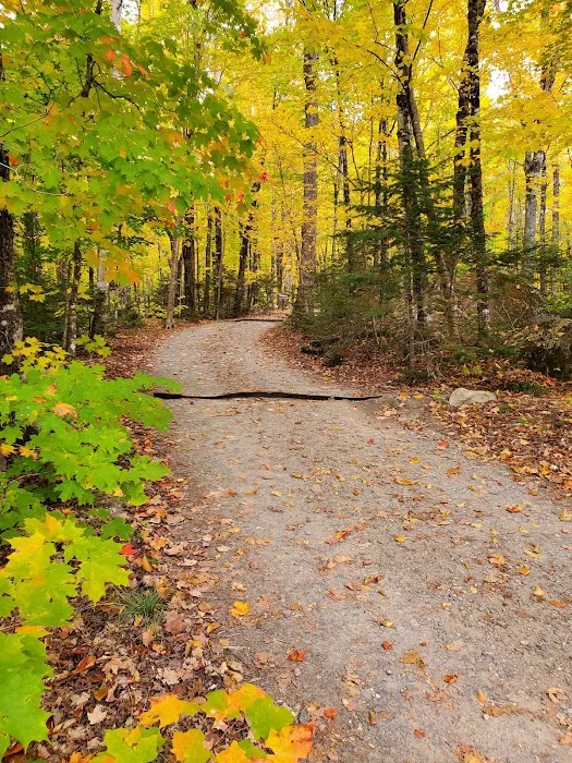 Abol Campground Picture 6