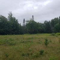 Daicey Pond Campground ico