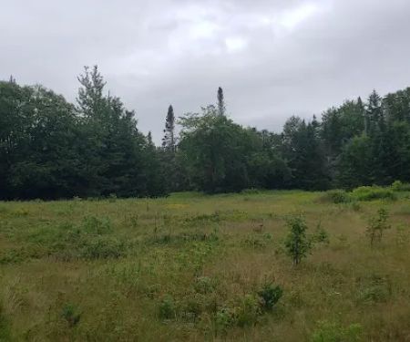 Daicey Pond Campground
