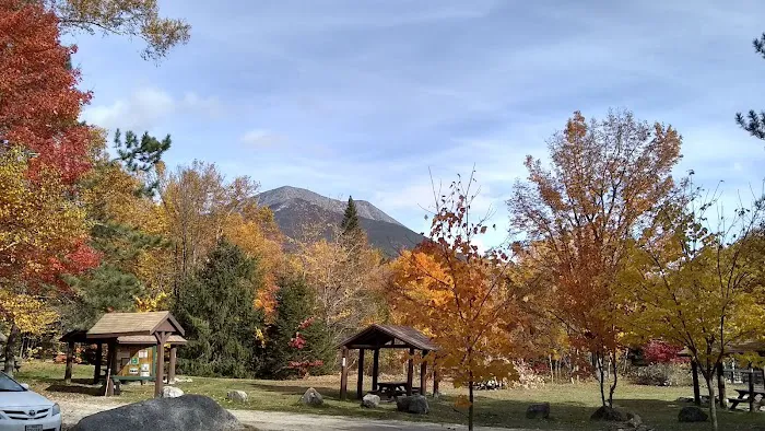 Katahdin Stream Campground Picture 2