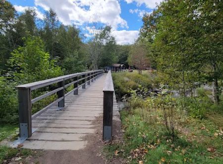 Katahdin Stream Campground