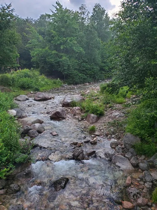 Katahdin Stream Campground Picture 7