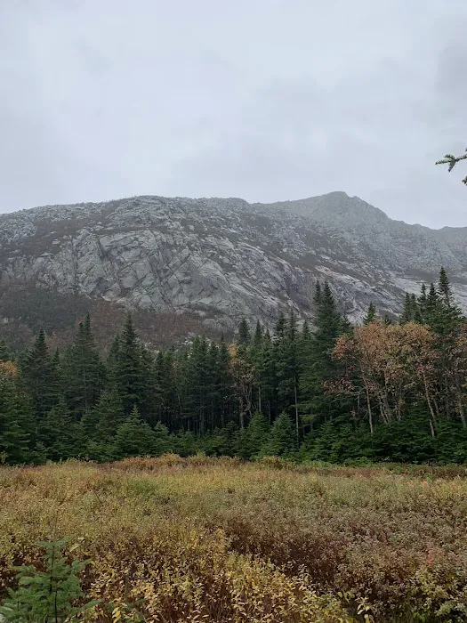 Chimney Pond Campground Picture 3