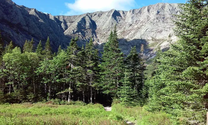 Chimney Pond Campground Picture 6