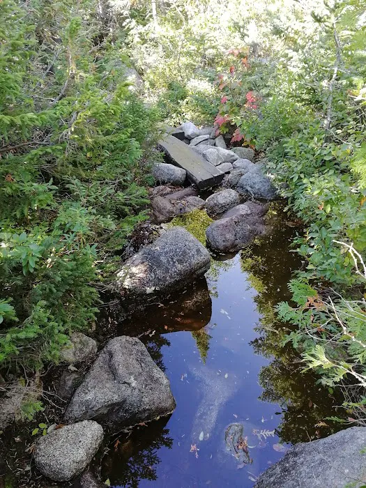 Chimney Pond Campground Picture 9