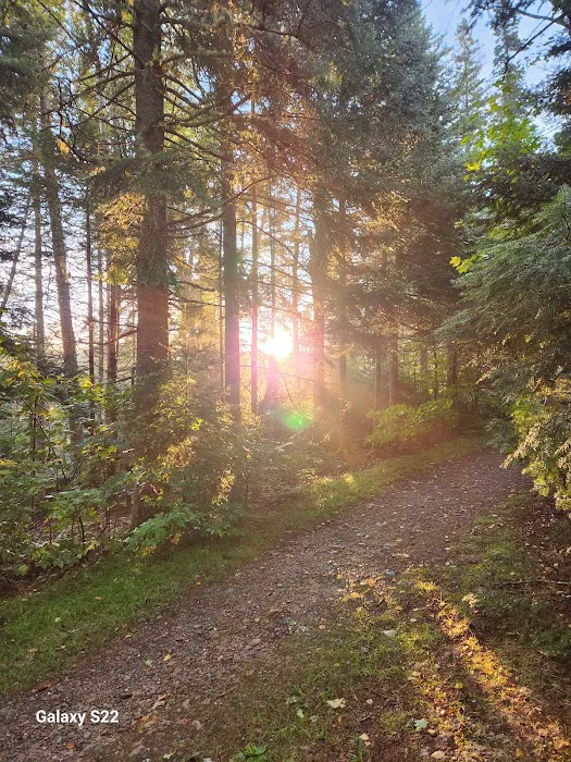 Nesowadnehunk Field Campground Picture 4