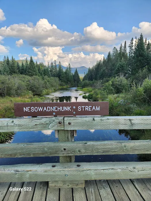 Nesowadnehunk Field Campground Picture 3