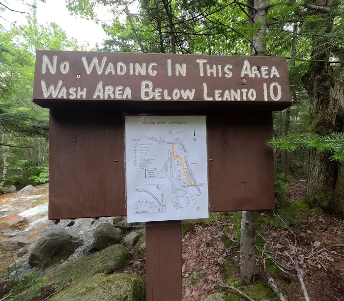 Roaring Brook Campground Picture 6