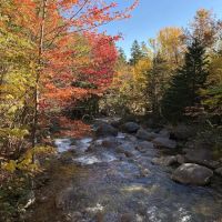 Roaring Brook Campground ico