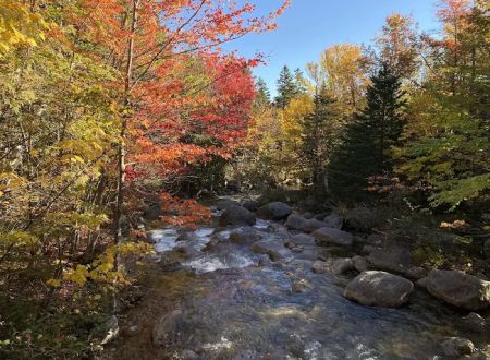 Roaring Brook Campground