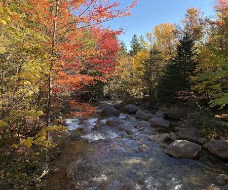Roaring Brook Campground