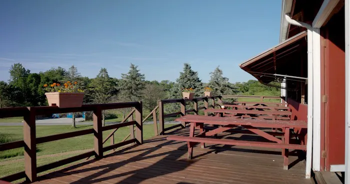 Camp HiYo! Picture 2