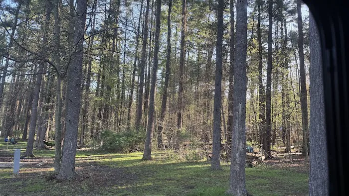 Findley State Park Campground Picture 7