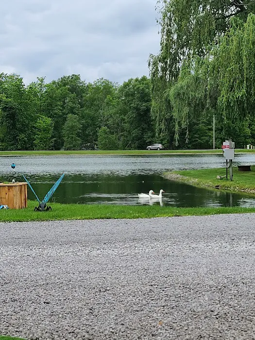 Hidden Acres Campground Picture 9