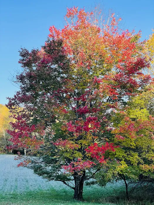 Baber Mountain Retreat Picture 10