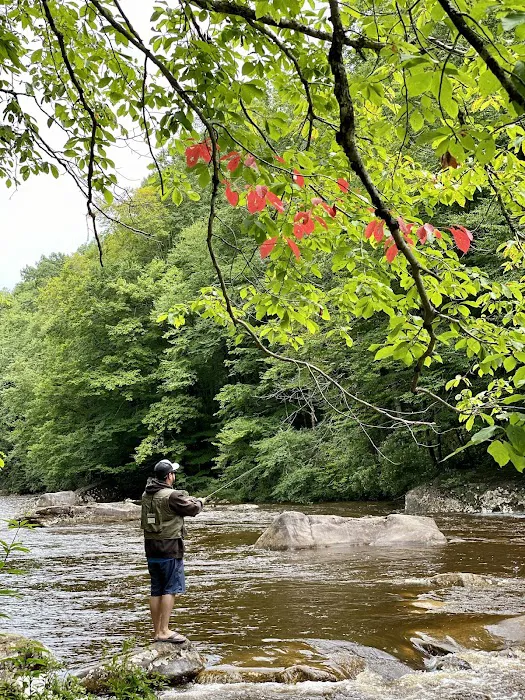 Baber Mountain Retreat Picture 4