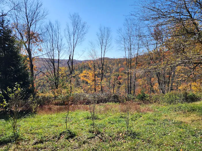 Baber Mountain Retreat Picture 7