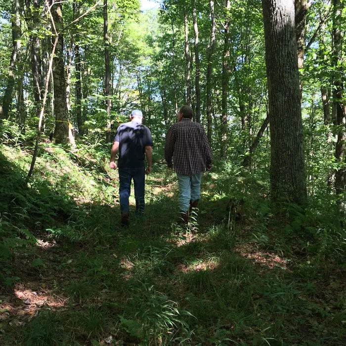 Baber Mountain Retreat Picture 5