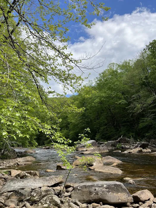 Baber Mountain Retreat Picture 3