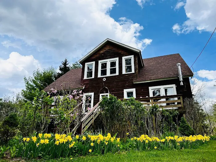 Baber Mountain Retreat Picture 9