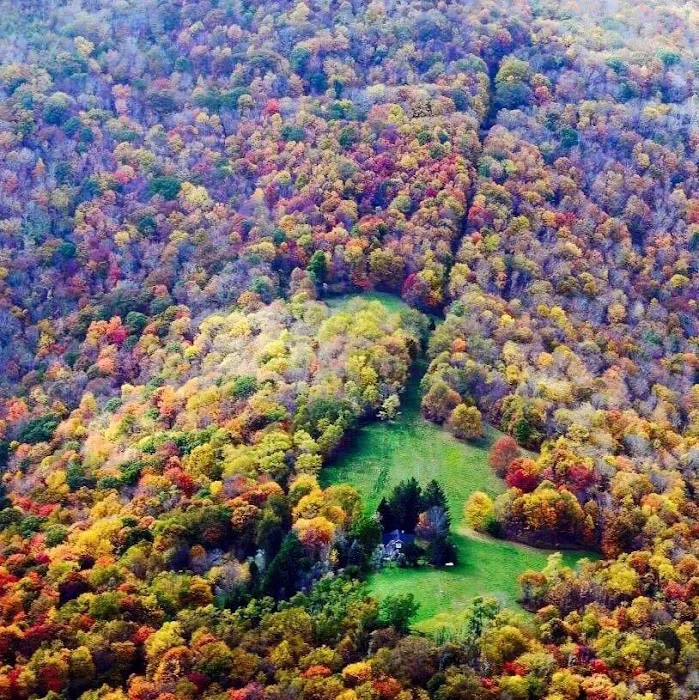 Baber Mountain Retreat Picture 8