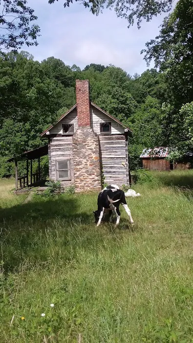 Labhaoise Camp and Hunt Club Picture 1