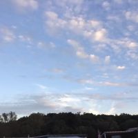Ponderosa Mobile Home Park ico