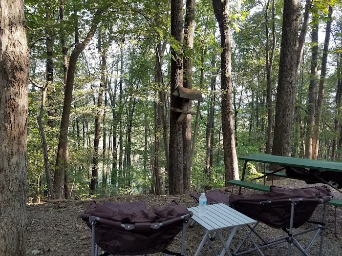 Deer Run Campgrounds Picture 6
