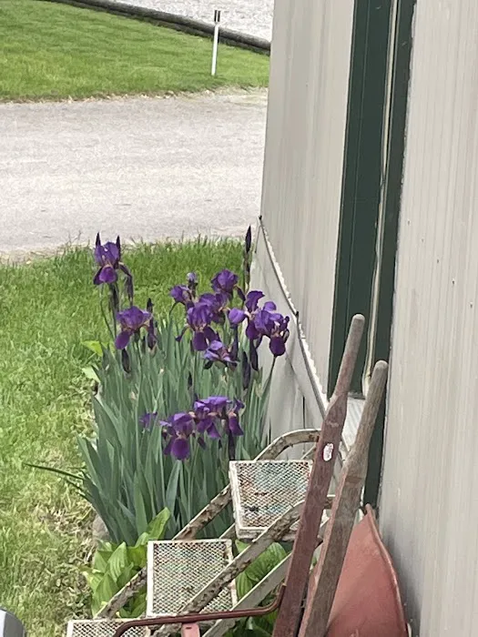 Shady Lanes Mobile Home Park Picture 1