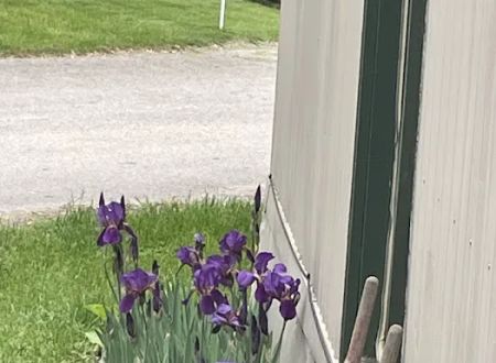 Shady Lanes Mobile Home Park