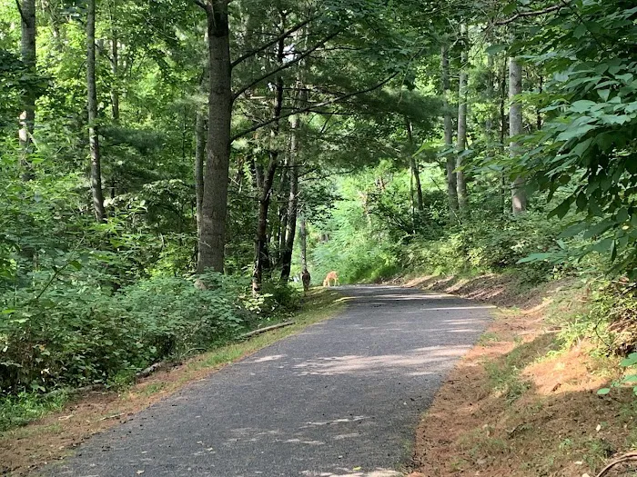 Claytor Lake State Park Campground1 Picture 9