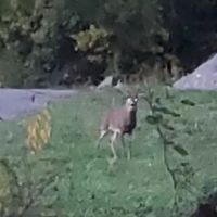Blank Slate Virginia ico