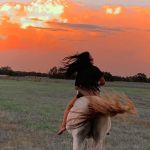 White Cedar Horse Camp