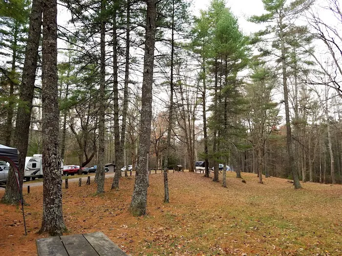 Walnut Flats Campground Picture 10