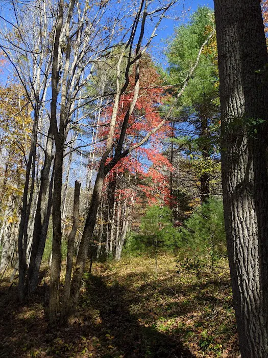 Pipestem Campground Picture 9