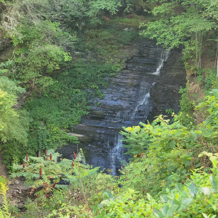 Pipestem Campground Picture 7