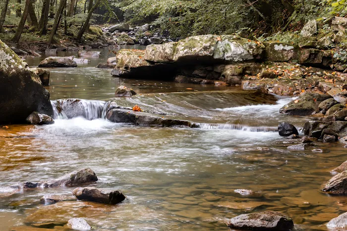 Glade Creek Campground Picture 8
