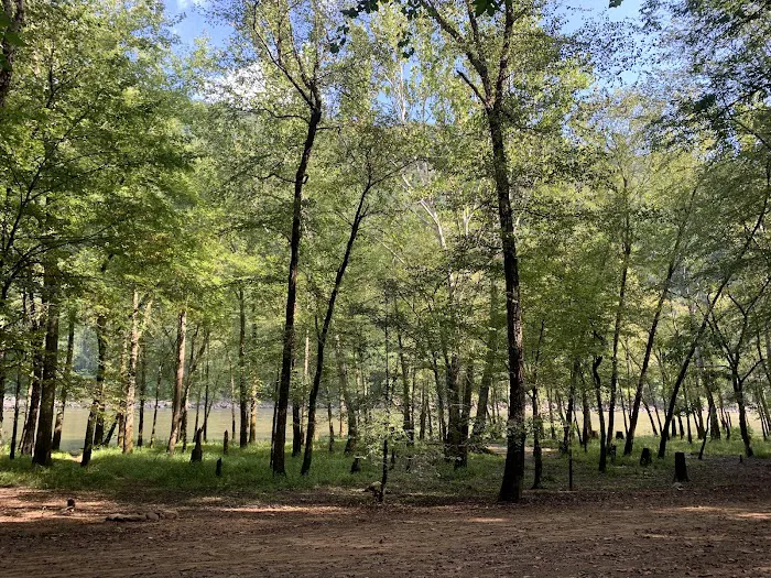 Glade Creek Campground Picture 4