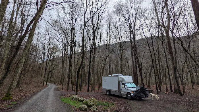 Glade Creek Campground Picture 1