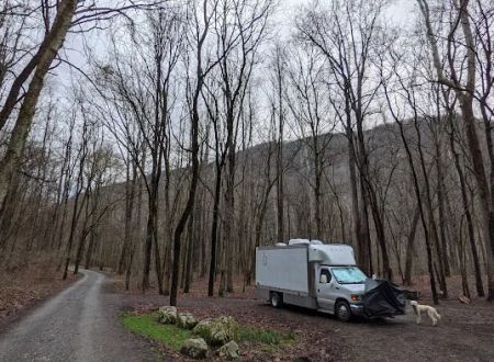 Glade Creek Campground