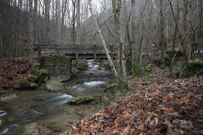 Grandview Sandbar Campground Picture 7