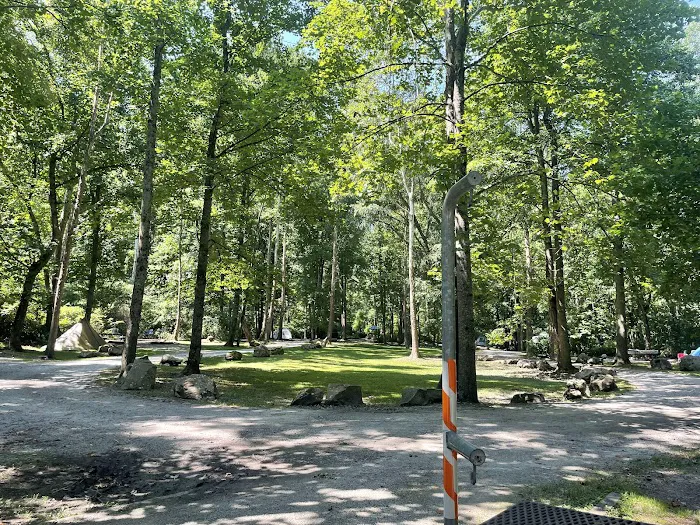 Grandview Sandbar Campground Picture 4