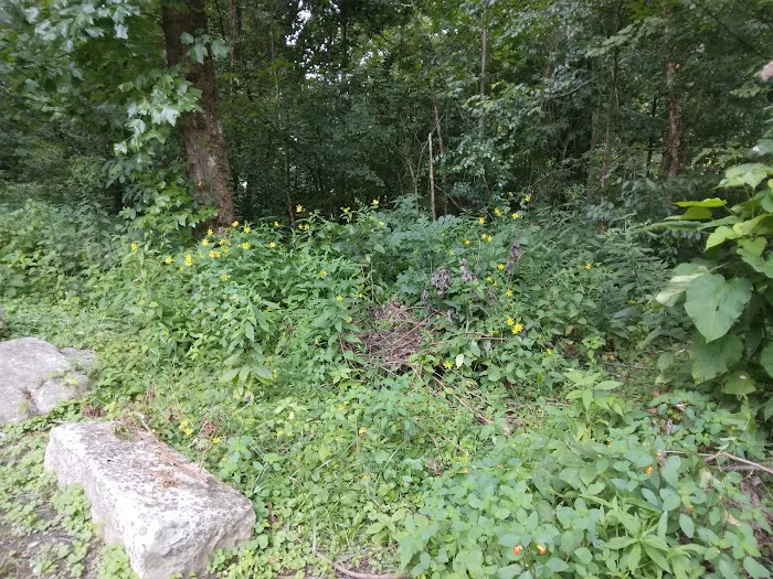 Thayer Campground Picture 4