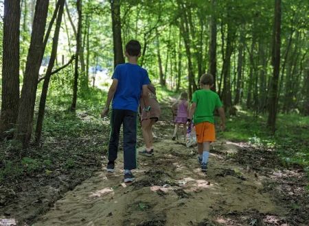 Country Line Creek Campground