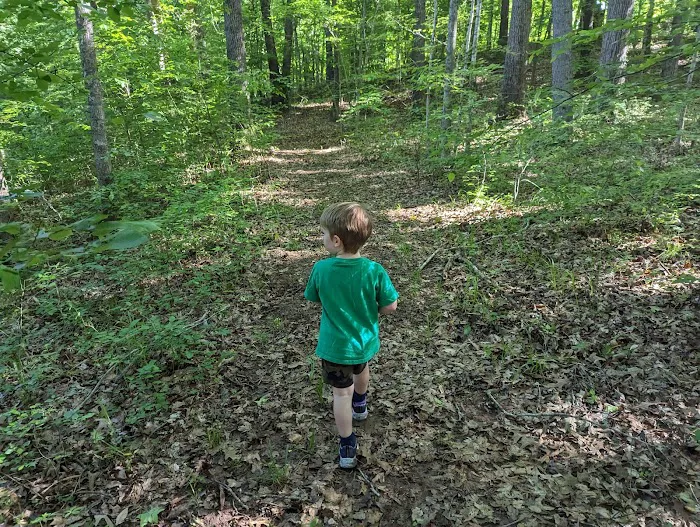 Country Line Creek Campground Picture 6