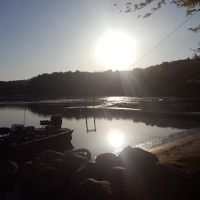 Lower Dells Estates ico