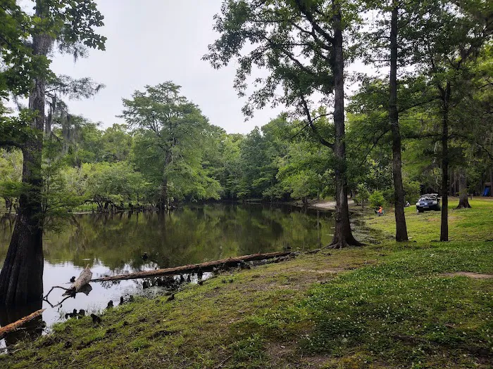 Core Creek Landing Picture 7