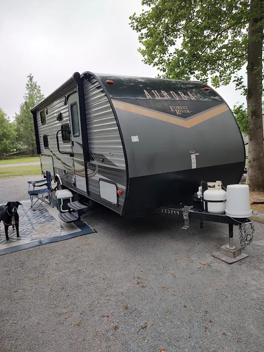 Turkey Quarter Campground & RV Park Picture 3