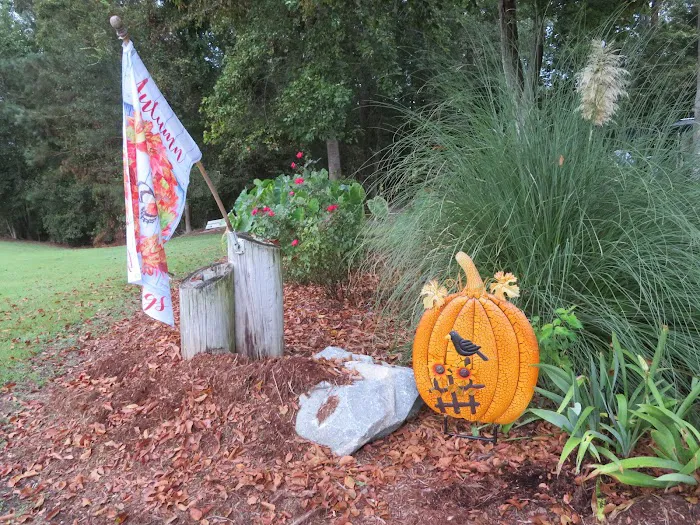 Turkey Quarter Campground & RV Park Picture 4