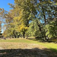The Lost Horizons Family Campground ico